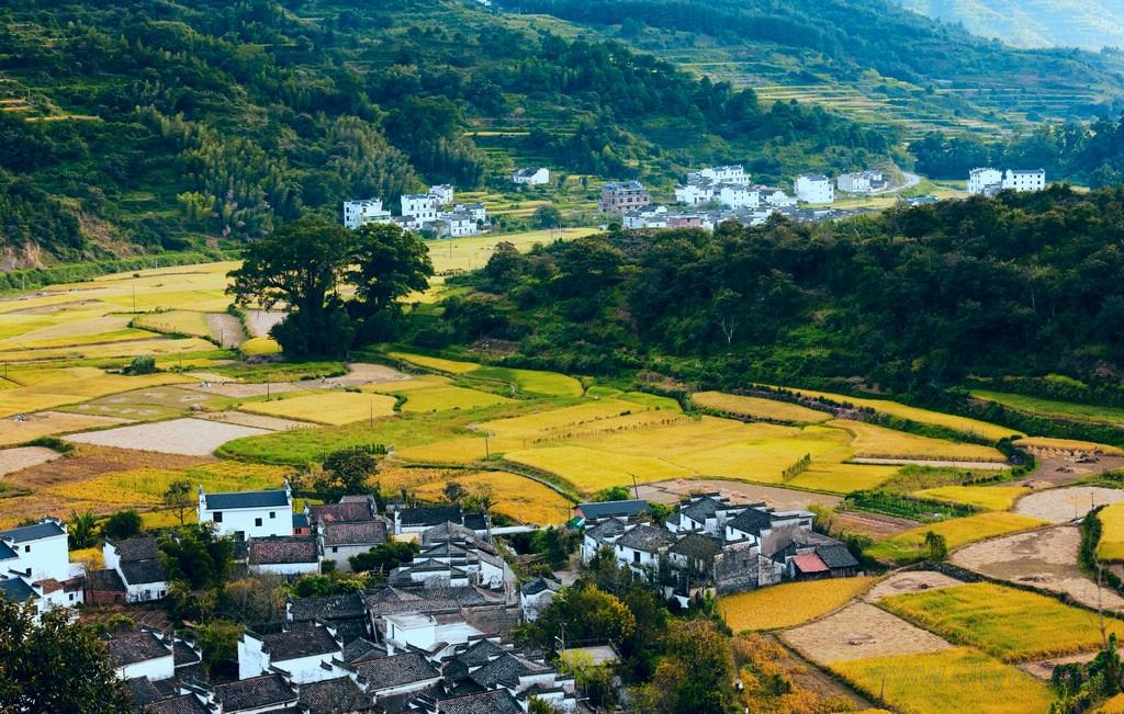 婺源岭脚村