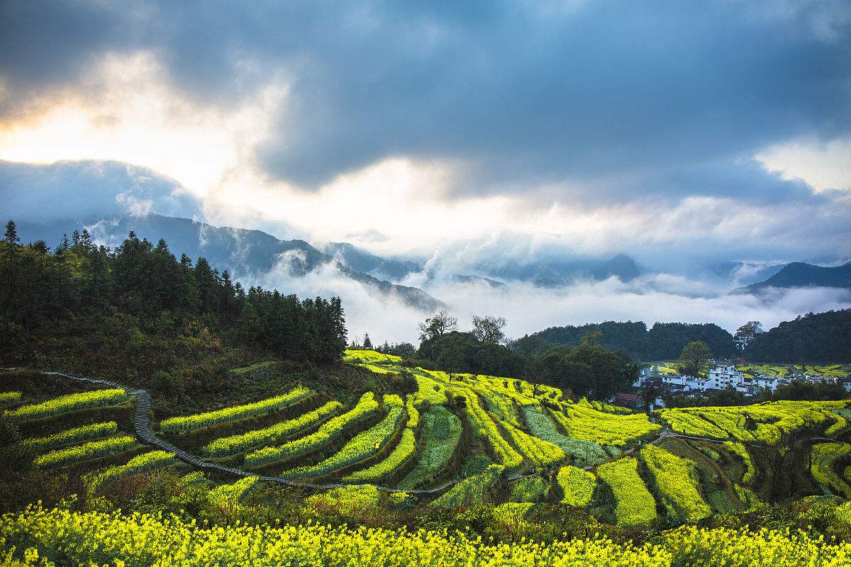 婺源风景