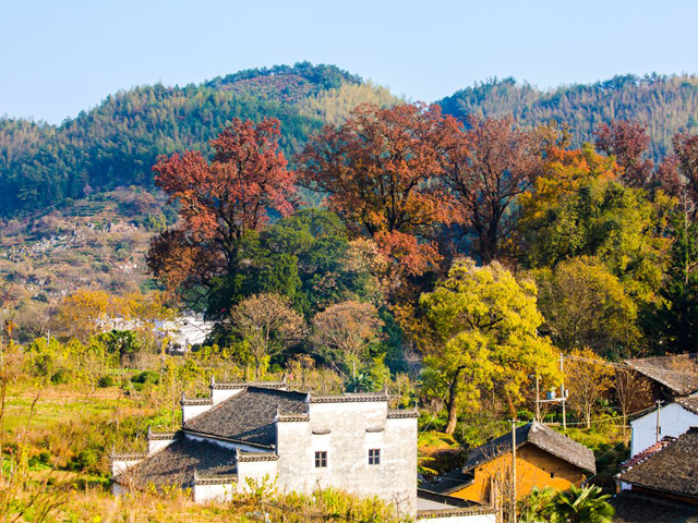 婺源石城