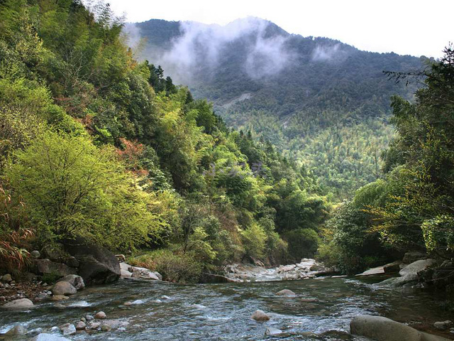 婺源大鄣山