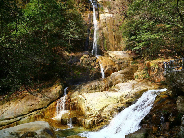 婺源大鄣山