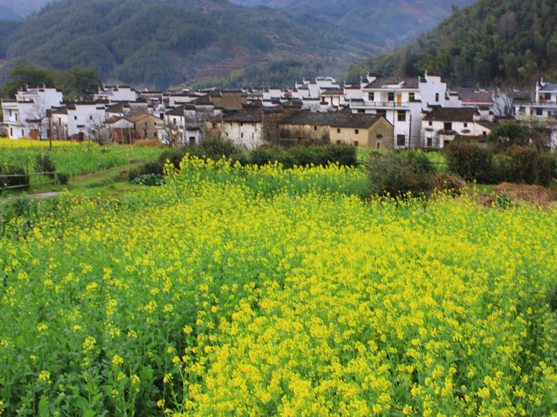 婺源虹关村