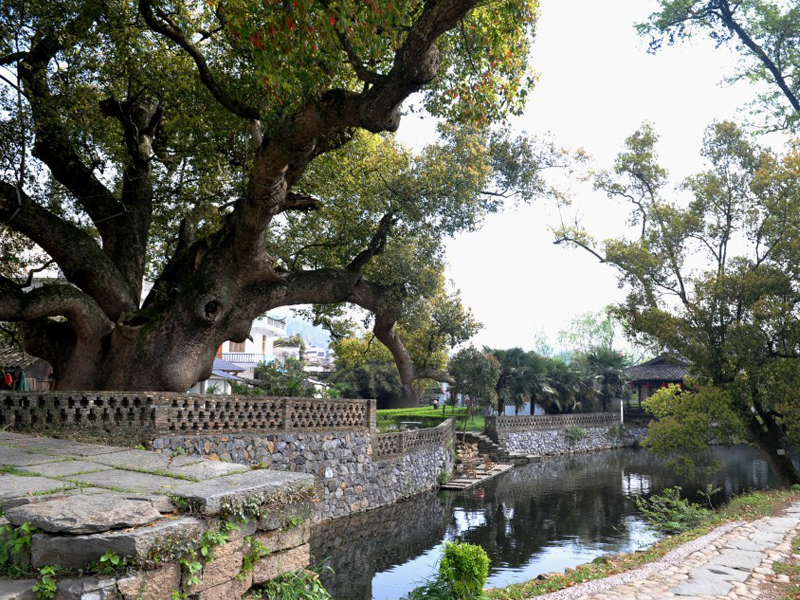 婺源严田旅游攻略