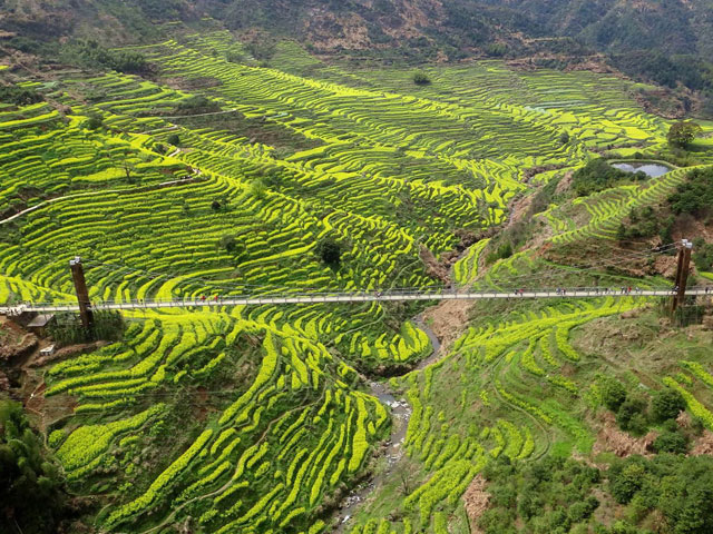 婺源旅游