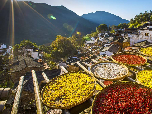 婺源旅游